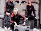 Solid Gold Hits [LP] by Beastie Boys (Vinyl, Nov-2005, 2 Discs, Capitol/EMI...