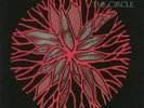 WIPERS - The Circle (reissue) - Vinyl (LP)