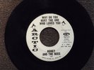 northern soul HONEY AND BEES Why Do You Hurt the One Who Loves You ARCTIC DJ M-