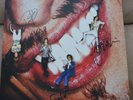 The Darkness - Pinewood Smile ..Signed ..on Red Vinyl
