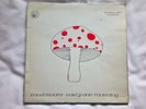 MUSHROOM: Early One Morning - 1st Press 1973 Celtic Psychedelic Rock -