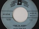 Rockabilly 45 DON ELLIS Come In World BEE VG+