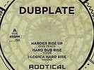 Dixie Peach, Tozer, Makiko, Iyah Ranks ?– Rise Up (Dubplate)