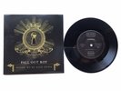 FALL OUT BOY, Sugar We're Going Down 7
