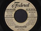 ROCKERS: Down In The Bottom / Why Don't You Believe 45 (wol, dj bio, plays well
