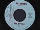 KITTENS: I'm Worried / Count Every Star 45 Oldies