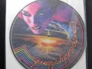 Scissor Sisters - Comfortably Numb 12