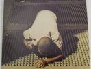 1 LP  SNOOKY PRYOR   Do It If You Want To   1973