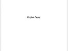 Perfect Pussy: I Have Lost All Desire For Feeling (EP) LP
