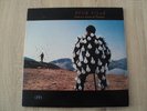 LP:  PINK FLOYD --- delicate sound of thunder      Germany 1988