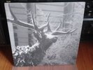 AGALLOCH - The Mantle ORIGINAL 2005 profound lore pressing gray wax