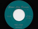 Hollidays, Holidays, Steve Mancha - Easy Living / I Lost You (Soul, 45)