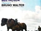 TAS LP - BRUNO WALTER / Beethoven Symphony No.6 / Columbia 6-EYE MS 6012 4DH/4BL