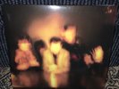 The Horrors - Primary Colours - Mint Condition (Includes Poster)