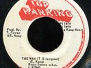 E & I Kong (feat. Augustus Pablo) - The Way It Is 7