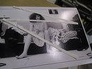 mylene farmer photo promo originale inedite periode maman a tort