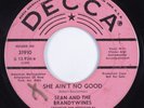 Garage 45 SEAN & BRANDYWINES She Ain't No Good DECCA HEAR