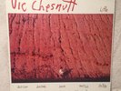 VIC CHESNUTT LITTLE NM/EX LP ORIGINAL 1990 TEXAS HOTEL PRESSING MICHAEL STIPE