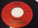 RARE GARAGE PSYCH 45 JERRY AND THE LANDSLIDES GREEN FIRE P.P.X. 441