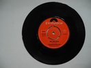 TYRANNOSAURUS REX (T.REX) One Inch Rock / Salamanda... 45 7