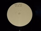 Potshot : 'Til I Die (Test Pressing LP) Punk Ska