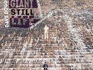 Little Giant Still Life - DOUGLAS DAVE [CD]