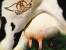 AEROSMITH-AEROSMITH:GET A GRIP NEW VINYL