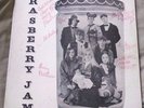 Rasberry Jam LP (1970) private press folk/psych acid archives Strong VG