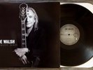 JOE WALSH (Eagles) / ANALOG MAN - LP (printed in US - 2012)