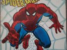 THE AMAZING SPIDER-MAN 1972 Buddah COMIC LP A ROCKOMIC record vinyl 33rpm EUC