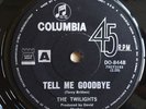 The Twilights - Tell Me Goodbye / Comin' On Down OZ 1968 7