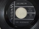 RARE INDIANA GARAGE SANZ INCORPORATED ON SKOOP