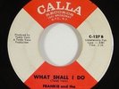 Frankie and the Classicals 
