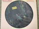 David Bowie - The Rise And Fall Of Ziggy Stardust - Rare UK Numbered Pic Disc LP