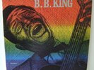 B.B. King The Incredible Soul Of  B.B. King 1 LP 12