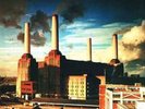Pink Floyd - Animals - Remastered Reissue - Vinyl LP