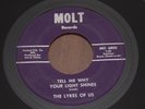 Lykes of Us 45 RARE Tell Me Why Your Light Shines MI garage psych 7