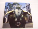 Swervedriver Mezcal Head Autogrphed, Signed Copy LP Vinyl