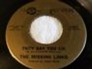 VERY RARE CALIFORNIA GARAGE 45 THE MISSING LINKS 