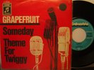 GRAPEFRUIT Someday / Theme for Twiggy   Single 7 45