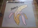 IMAGINATION - SHAKE IT - VINYL LP
