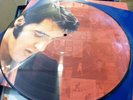 ELVIS PRESLEY : ARTIST OF THE CENTURY - 5 X PICTURE DISC LP BOX SET :RARE EX