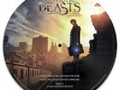 FANTASTIC BEASTS AND WHERE TO FIND THEM -12