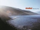 Morning View (Gatefold Sleeve) [2LP Vinyl] Incubus Vinyl