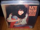 KATE BUSH kick inside ( rock )