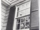 What A Pleasure (Lp) [VINYL] Beach Fossils Vinyl