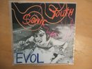 Sonic Youth-Evol-Original SST-Big Black-The Fall-Butthole Surfers-Glenn Branca