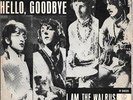 THE BEATLES 45 HELLO GOODBYE+PS HOLLAND RARE