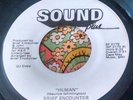 Rare Modern Soul Orig Promo 45 Brief Encounter Human / Total SOUND PLUS NM HEAR