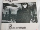 The Damned ?– Phantasmagoria: Vinyl LP 1986 + 12